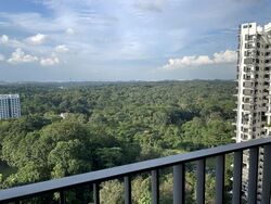 Eco Sanctuary (D23), Condominium #557946291